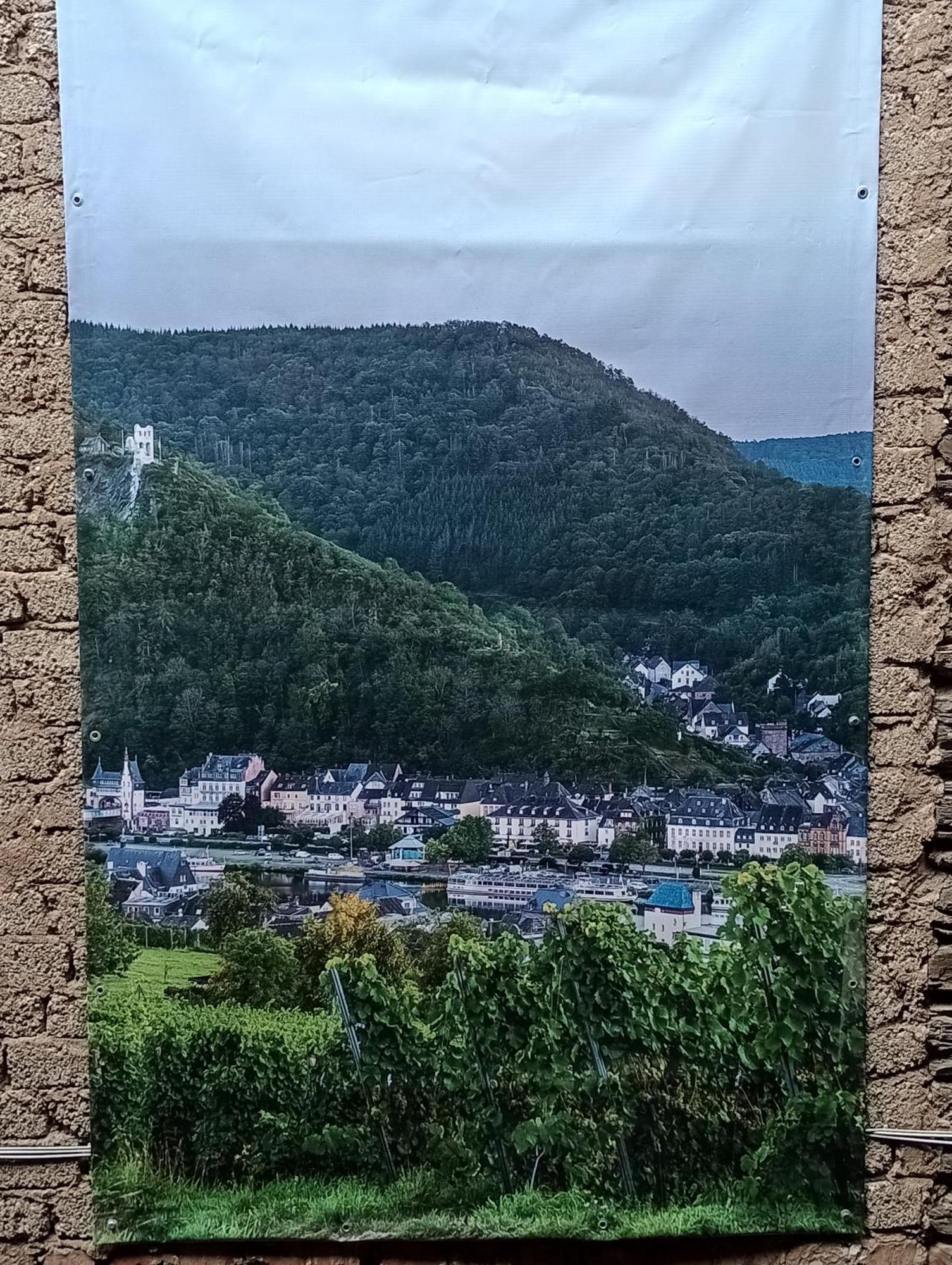 Alte Brennerei Apartments Traben-Trarbach Exterior foto